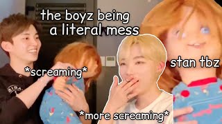 the boyz moments that make me question their sanity pt2 [upl. by Leumas]