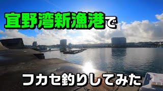 【宜野湾新漁港】いろいろ釣れる楽しい漁港。その名もギノシン。【イソジン】 [upl. by Drawets]