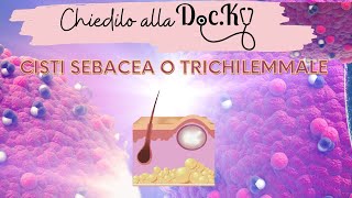 Chiedilo alla Docky Differenza tra cisti sebacea e trichilemmale [upl. by Royal]