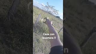 Caza con resortera caza de palomas ala blanca con resortera [upl. by Azilef]