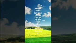 Nachiketa song music song newsong bani lovesong niti Kathahasibunneshabibi [upl. by Mirisola]