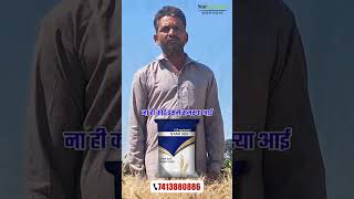 झाड़ का बाप Wheat Star 325 – पोषक तत्वों से भरपूर शानदार और जानदार [upl. by Joiner]