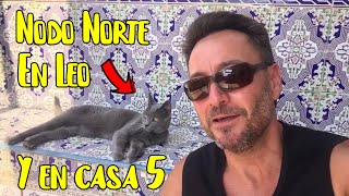 NODO NORTE EN LA CASA 5  NODO NORTE EN LEO ♌🦁 Curso gratis Astrología Reencarnación😉👍 [upl. by Burra]