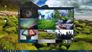 RainWallpaper Tutorial 2 How to download live wallpaper [upl. by Atnauq]