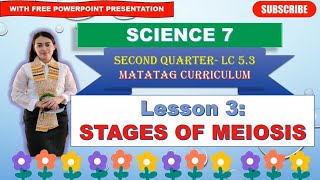 SCIENCE 7 Quarter 2 LC 53 STAGES OF MEIOSIS MATATAG CURRICULUM [upl. by Larrej]