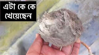 এটা কে কে খেয়েছেন আর কী নাম এটার Gallery BD [upl. by Sirdi485]