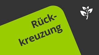 Rückkreuzung  Eine Erklärung  Biologie  Genetik [upl. by Remliw868]