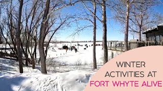 Winter Activities At Fort Whyte Alive [upl. by Leong]