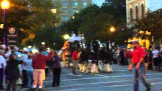 The Budweiser Clydesdales procession through Downtown Pensacola [upl. by Chaney]