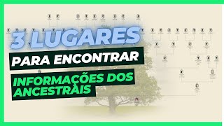 3 LUGARES PARA ENCONTRAR INFORMAÇÕES DOS SEUS ANCESTRAIS E DESENVOLVER SUA ÁRVORE GENEALÓGICA [upl. by Gierc]