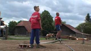 Hornussen  the sport of Swiss farmers [upl. by Eidnas]