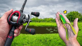 Topwater Frog ONLY Day of Bass Fishing [upl. by Ralyks631]