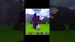 SLENDERMAN In MinecraftNo Mod [upl. by Scarrow270]