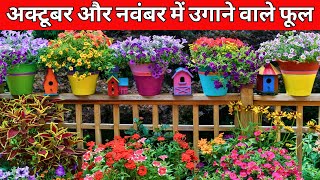 अक्टूबर और नवंबर में उगाने वाले फूल Flowers To Grow In October and November [upl. by Attiuqihc]