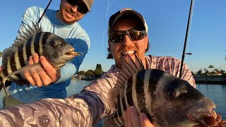 How To Catch Sheepshead On Fake Crabs LIVE Video [upl. by Melak340]