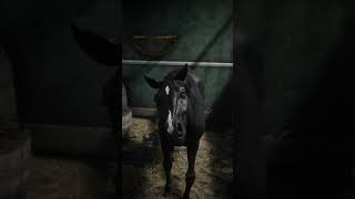 RDR2  ALL ARABIANS LOCATION rdr2 shorts [upl. by Daly17]