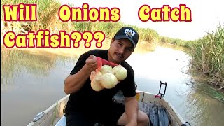 Fishing For Catfish With Onions [upl. by Townie]