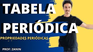 PROPRIEDADES PERIÓDICAS  Tabela Periódica [upl. by Damick]