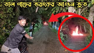 তাল গাছের ভয়ংকর ভূতের কর্মকাণ্ড  Activities Of Palm Tree Ghost  Ghost Fighter [upl. by Spiros]