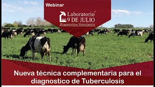 Nueva técnica complementaria para el diagnóstico de Tuberculosis bovina [upl. by Esilenna]