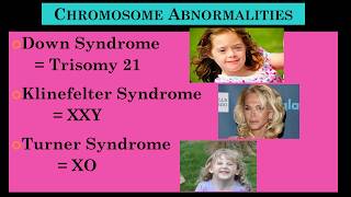 CHROMOSOME ABNORMALITIES presented by Psychology Professor Bruce Hinrichs Scientific Psychology [upl. by Emerej]