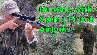 Five Reasons to Hunt with Spring Piston Airguns [upl. by Annovaj]