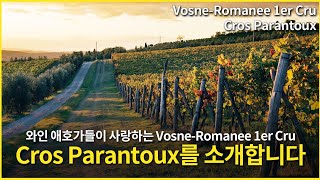 Engsub Vosne Romanee 1er Cru Cros Parantoux [upl. by Airret]