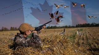 EPIC Early Season Goose Hunting [upl. by Ernst]