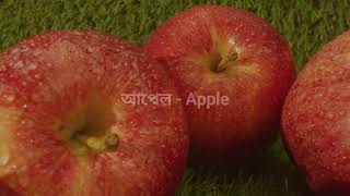 vocabulary  Bangla to English speaking course Apple [upl. by Areikahs456]