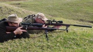 Hunting two Fallow deer with 243 Win and 223 Rem rifle for venison recovery in New Zealand  89 [upl. by Hickey193]