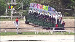 2da carrera  Golden Je  Hipódromo La Rinconada  Reunión 28  2024 [upl. by Korns]