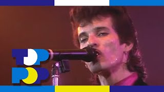 Mink DeVille  Shes So Tough Live 1985 • TopPop [upl. by Cristal]