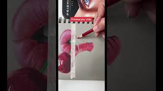 Crayola vs Prismacolor  Cheap vs Expensive [upl. by Gosney]