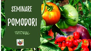 Seminare i pomodori ecco come e quando Tutorial completo [upl. by Aidnac]