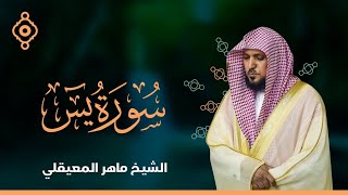 Surat Yasin Maher Al Muaiqly  سورة يس  الشيخ ماهر المعيقلي [upl. by Jourdan44]