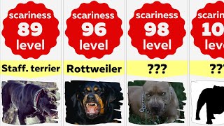 Comparison 50 Scariest Looking Dog Breeds [upl. by Dibrin]