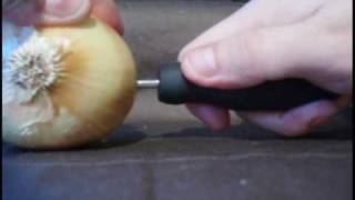 How to Charge an iPod using electrolytes and an onion [upl. by Alegnaed711]