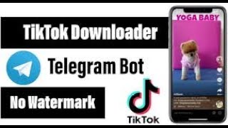 How to Download TikTok amp Snack Video Without Watermark  Telegram Bot Downloader Free Source Code [upl. by Mela491]