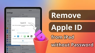 4 Ways How to Remove Apple ID from iPad without Password [upl. by Irving]