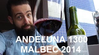 ND Andeluna 1300 Malbec 2014 Mendoza  Argentina [upl. by Leal728]