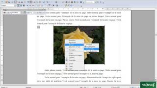 Open Office Writer Insérer des images avec légende et description [upl. by Gnos]