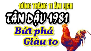 Tân Dậu 1981  Đúng Tháng 11 Âm Lịch Phú Quý Tỏa Sáng Bứt Phá Vận Đỏ Tiền Tài Kéo Về [upl. by Durham]