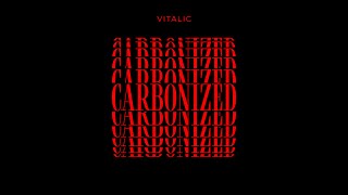 Vitalic  Carbonized [upl. by Worra347]