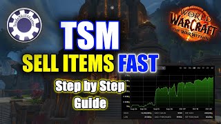 How to use TSM Addon  Step by Step  The War Within [upl. by Oremar]