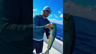 Peewee Dolphin Action🎣😅 mahi fishing bermuda youtuber [upl. by Bortman127]