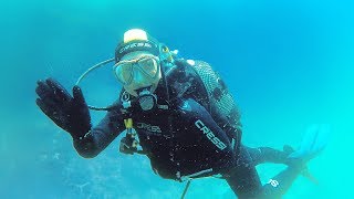 MERGULHO NAS BERLENGAS  SUMMER VLOG  OPEN WATER DIVER [upl. by Kliber]