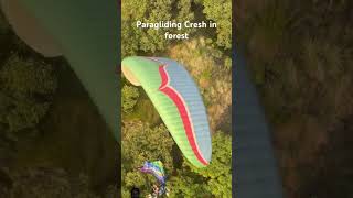 Paragliding crash in forest very sad adventure paragliding mountain shortfeed youtubeshorts [upl. by Benildas612]