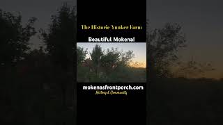 The historic McGovney Yunker Farm in Mokena at Sunset history [upl. by Seraphine374]