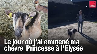 Le jour où pour sauver mon troupeau jai emmené ma chèvre Princesse à lElysée [upl. by Vania]