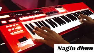 NAGIN CASIO MUSIC। NAGIN INSTRUMENTAL MUSIC । NAGIN PIANO TUTORIAL। NAGIN । NAGIN DHUN ON HARMONIUM [upl. by Neehsar331]